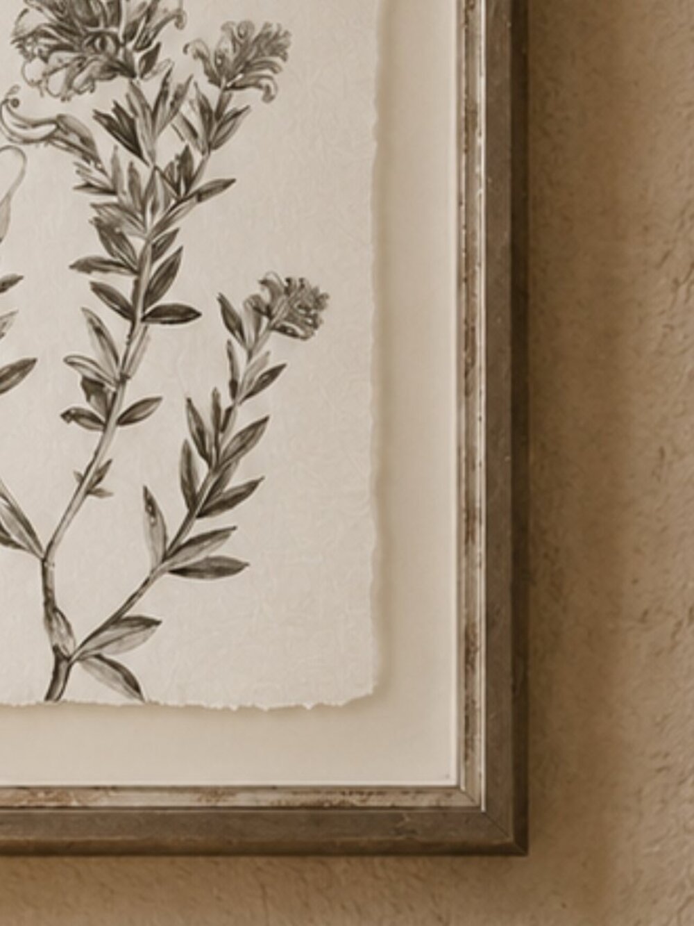 Botanical Study in Sage Floral Illustration Framed Wall Art Print - Picture 6 of 7